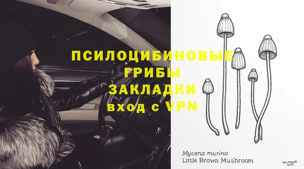первитин Дмитров