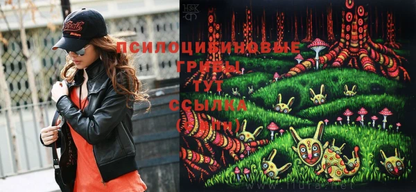 марки nbome Дмитриев