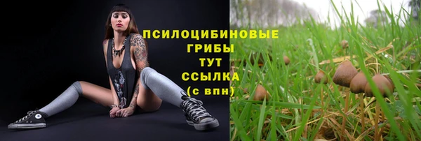марки nbome Дмитриев