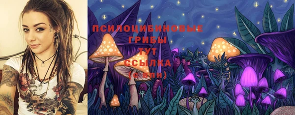 первитин Дмитров