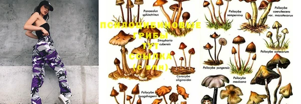первитин Дмитров