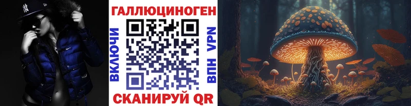Псилоцибиновые грибы Psilocybine cubensis  сайты даркнета какой сайт  Кущёвская  купить наркотики сайты  omg ссылки 
